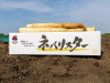 長芋（ネバリスター）３ｋｇ