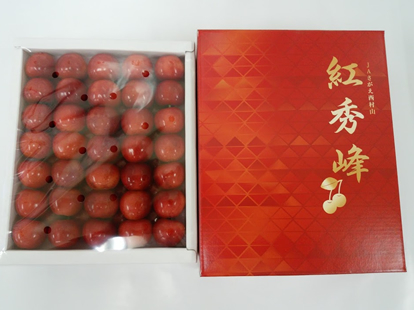 さくらんぼ「紅秀峰」５００ｇ　特秀品２～３L