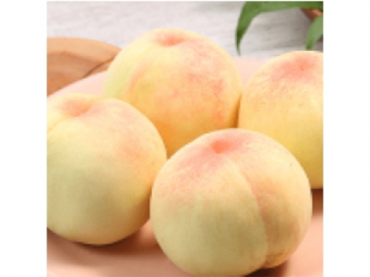 清水白桃 1.5kg