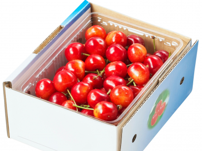 さくらんぼ「紅秀峰」　500g 秀品L