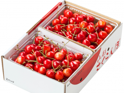 さくらんぼ「佐藤錦」　1kg 秀品L