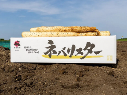 長芋(ネバリスター)3kg