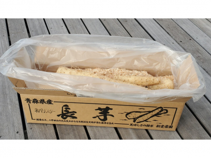 長芋（ネバリスター）３ｋｇ