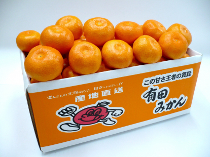 有田みかん3kg