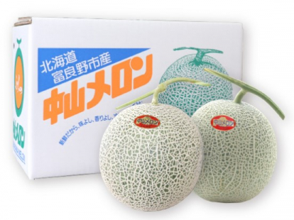 富良野メロン　赤肉　２玉（１．６ｋｇ×２）
