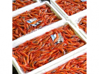 生食用甘エビ（船内凍結）Ｌサイズ７００ｇ（３０ー３５尾程度）