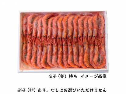 生食用甘エビ（船内凍結）Ｌサイズ７００ｇ（３０ー３５尾程度）