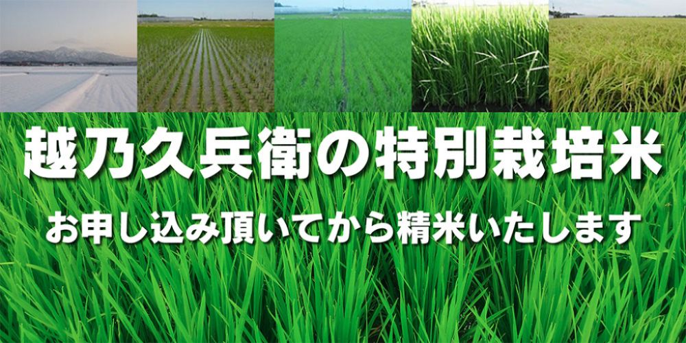 越乃久兵衛の特別栽培米　お申し込み頂いてから精米いたします