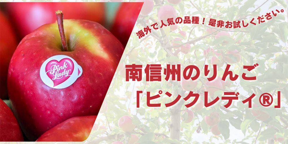 南信州のりんご「ピンクレディ(R)」　海外で人気の品種！是非お試しください。