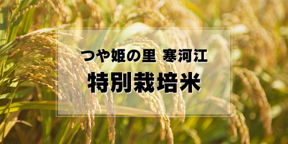 つや姫の里　寒河江　特別栽培米