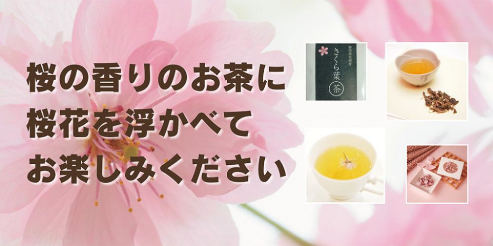桜の香りのお茶に桜花を浮かべてお楽しみください