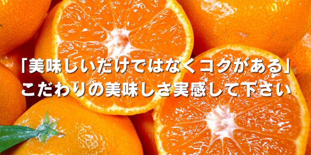 「美味しいだけではなくコクがある」こだわりの美味しさ実感して下さい