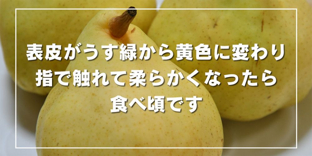 表皮がうす緑から黄色に変わり、指で触れて柔らかくなったら食べ頃です