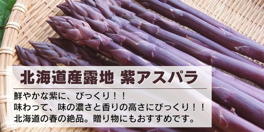 北海道産露地　紫アスパラ