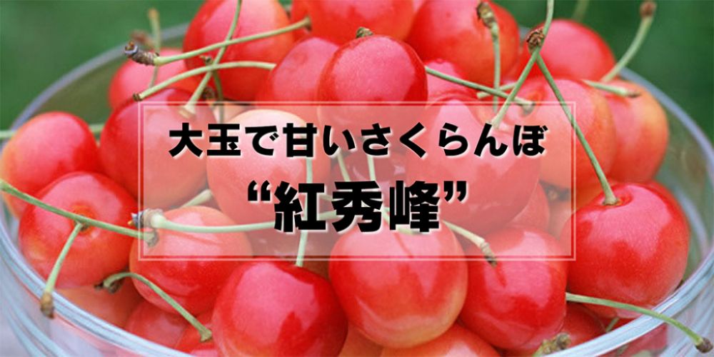 大玉で甘いさくらんぼ“紅秀峰”