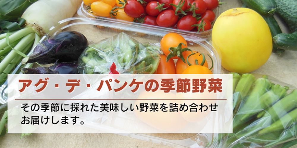 アグデパンケの季節野菜詰合せ　その季節に採れた美味しい野菜を詰め合わせお届けします。