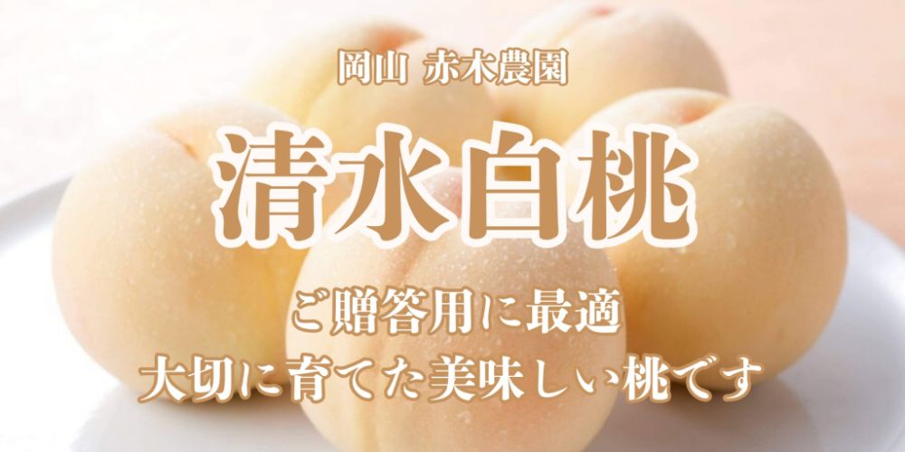 岡山 赤木農園の清水白桃