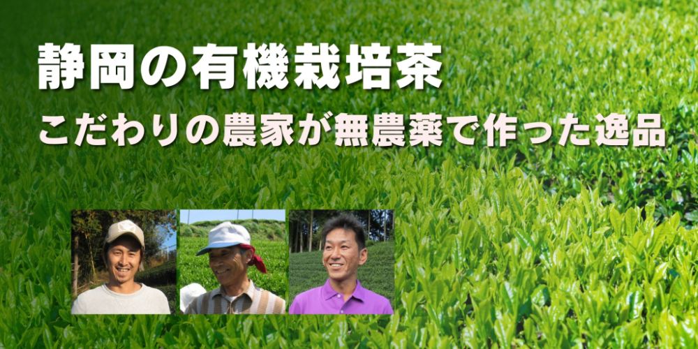 静岡の有機栽培茶
