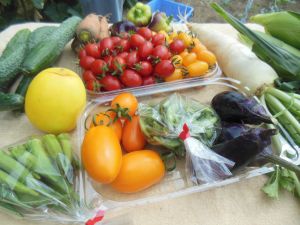 北海道　アグデパンケの季節野菜詰合せ