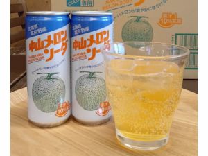 北海道 旭川 谷口農場 富良野中山農園メロンソーダ