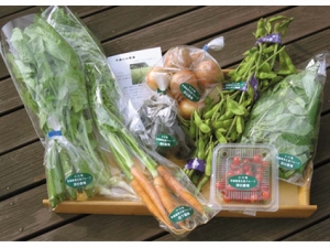 埼玉県 小川町の無農薬野菜セット