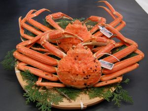 こだわりの魚介類や加工品をどうぞ！