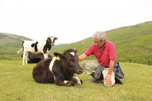 牛たちを、365日、屋外で飼育しています