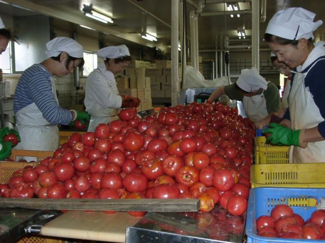 下川町農産物加工研究所について