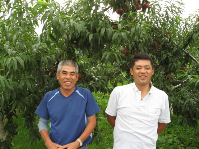 長野市豊野町の果樹園、名月園