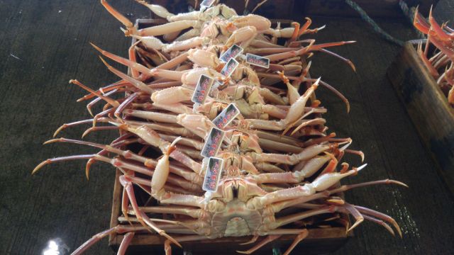 山陰地方が誇る冬の味覚