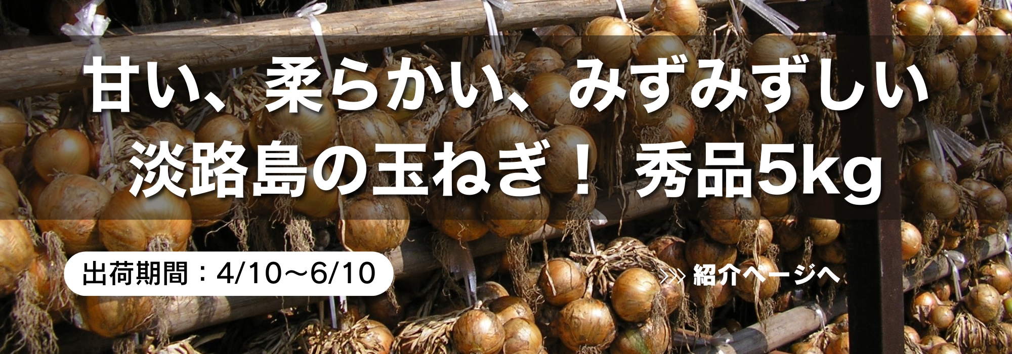 兵庫　淡路島の玉ねぎ／独特の甘さと柔らかい食感のたまねぎです。