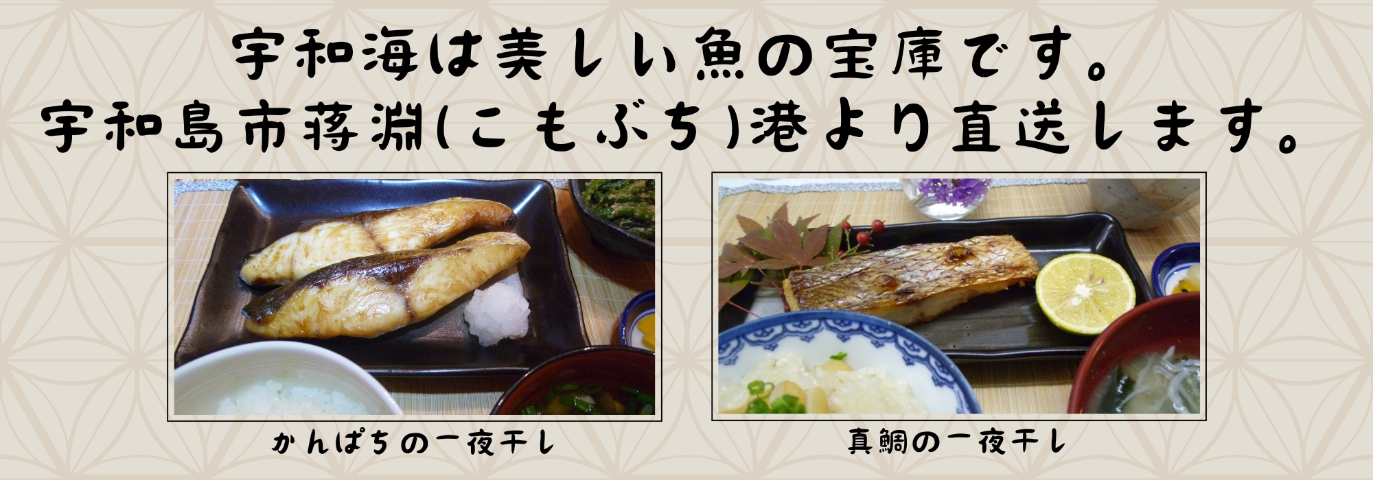愛媛 宇和島 蒋淵(こもぶち)　かんぱちの一夜干し、真鯛の一夜干し、真あじの開き／1つずつの真空パック入りなので、調理も保存もとっても簡単です。