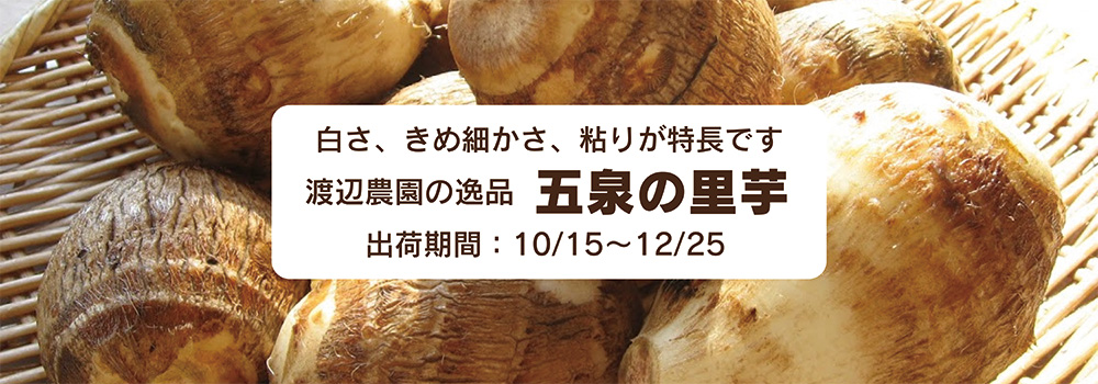 新潟　渡辺農園　五泉の里芋／五泉の里芋は白さときめ細かさが特徴です。