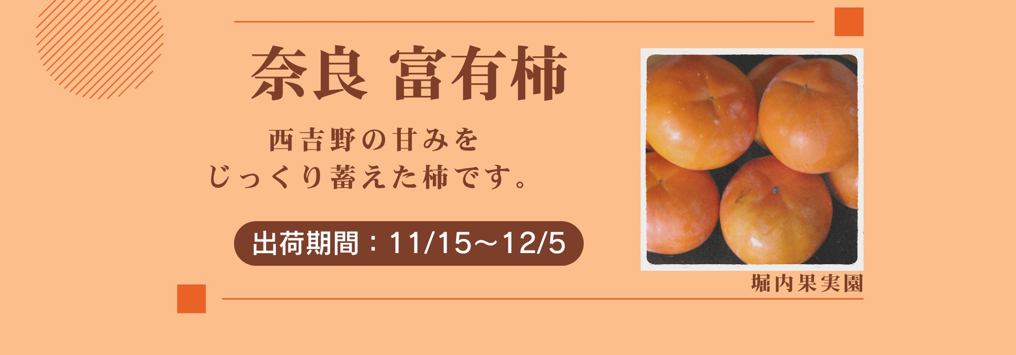 奈良 西吉野　堀内果実園の富有柿／甘みをじっくり蓄えた柿です。柿の木で完全に熟した実だけを収穫する事を心がけています。