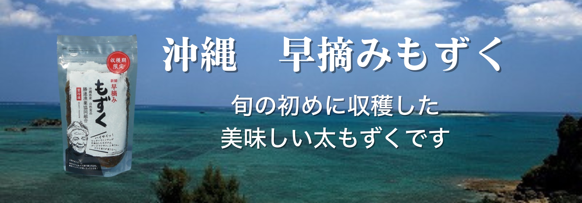 沖縄　早摘みもずく／旬の初めに収穫した
美味しい太もずくです。