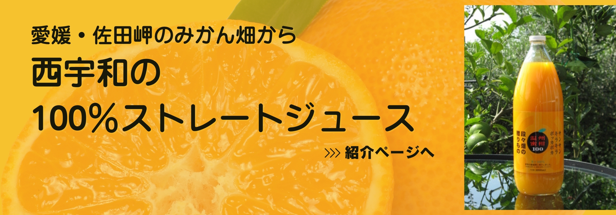 愛媛 西宇和　佐田岬のみかんジュース／無添加の果汁100％ジュースです。