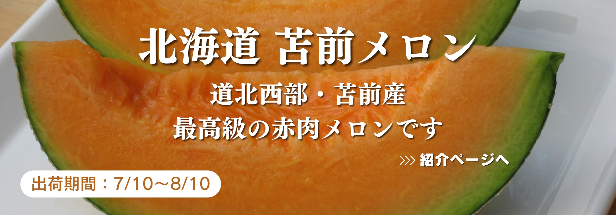 北海道　苫前（とままえ）のメロン／道北西部、苫前産の最高級赤肉メロンです。JA苫前メロン部会からお届けします。