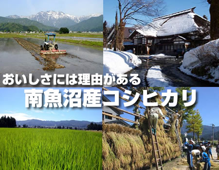 新潟 南魚沼産100%コシヒカリ